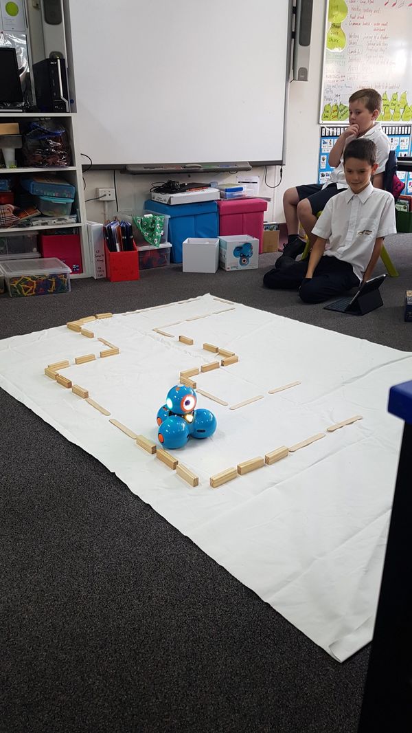 Year 3 programs Robot