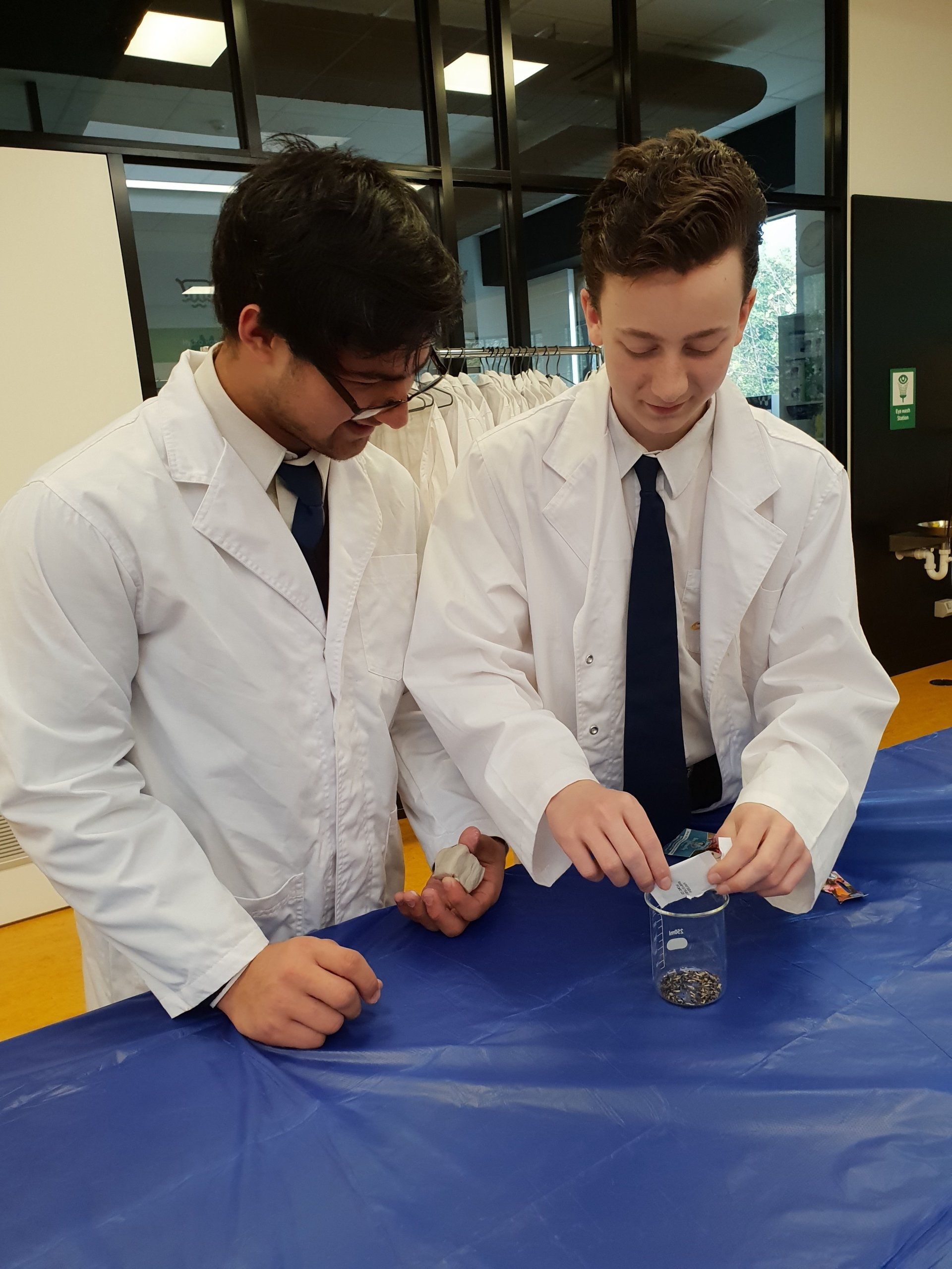 bee backpack project