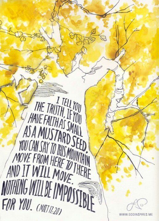 Mustard Bible Study for BalCC Secondary Students