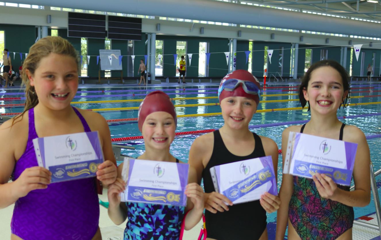 swimming carnival
