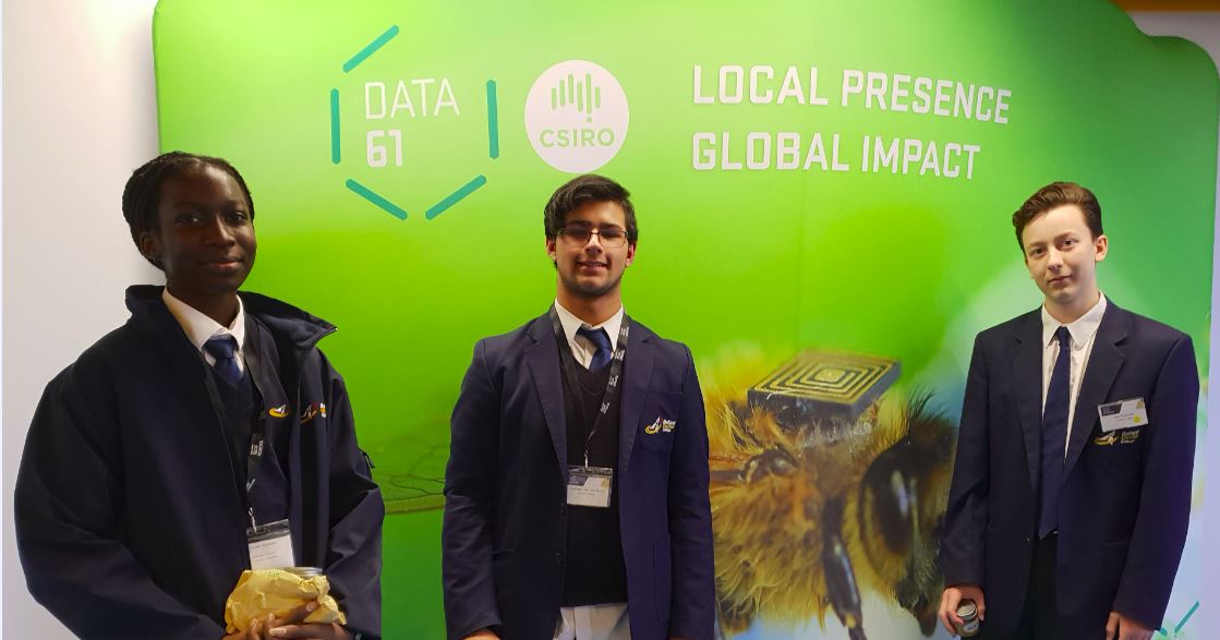 bee backpack project