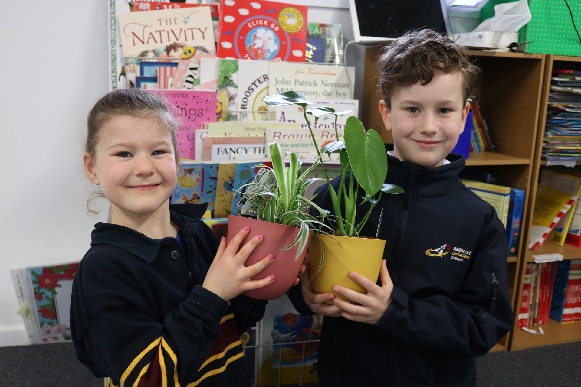 BalCC Primary Wing Opens