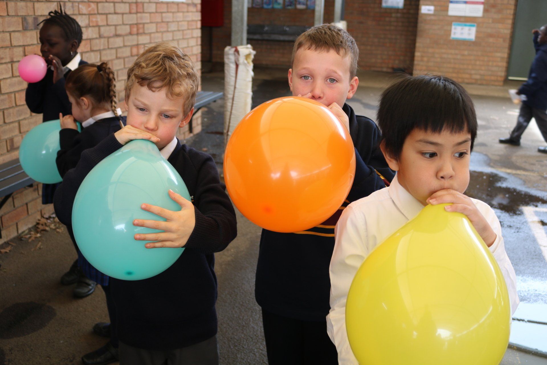 Celebrating Science Week 2019