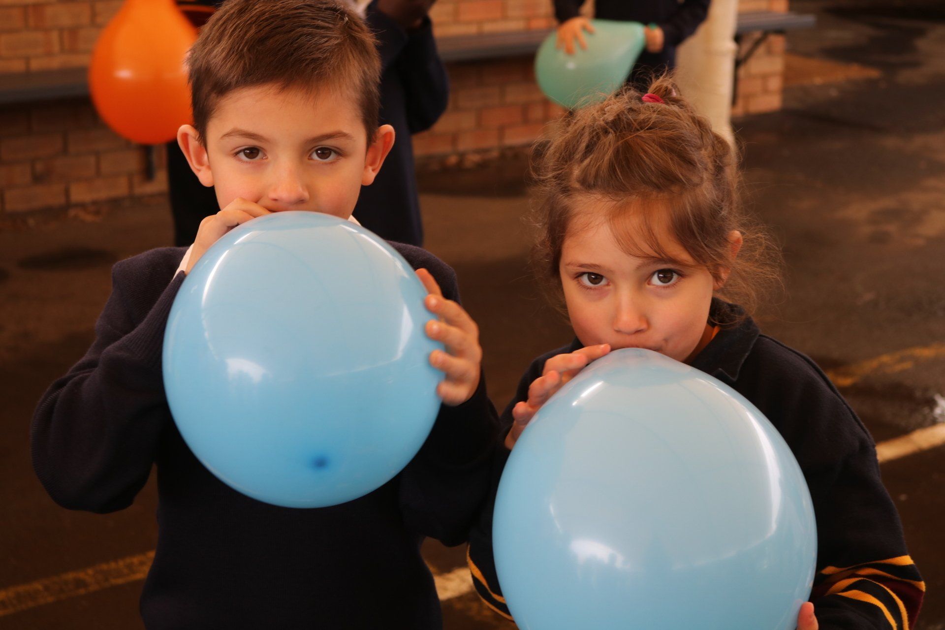 Celebrating Science Week 2019