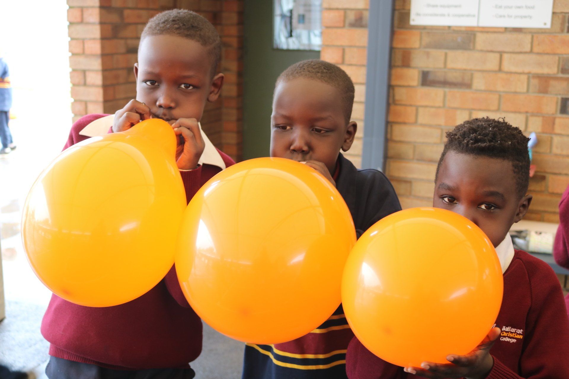 Celebrating Science Week 2019