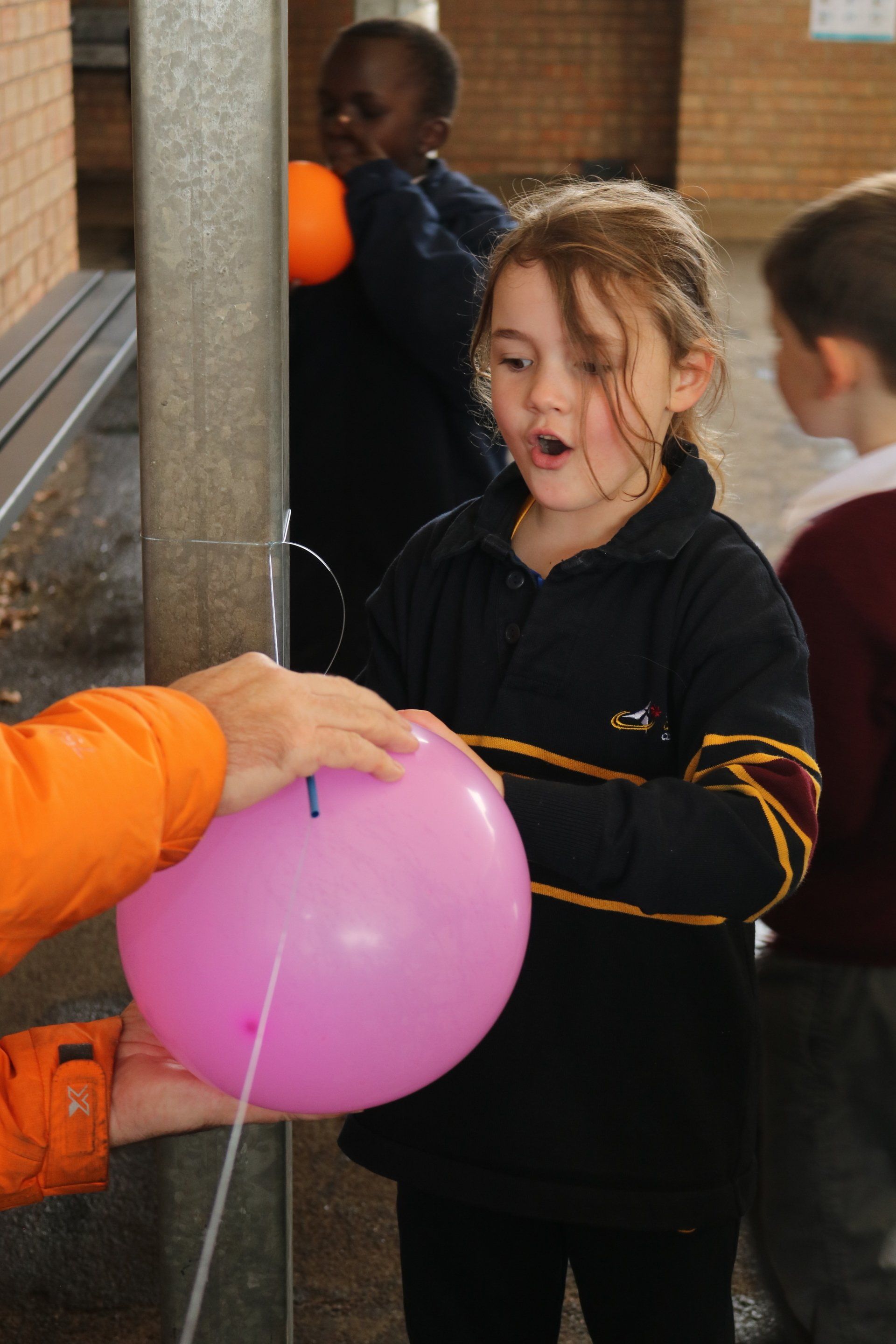 Celebrating Science Week 2019