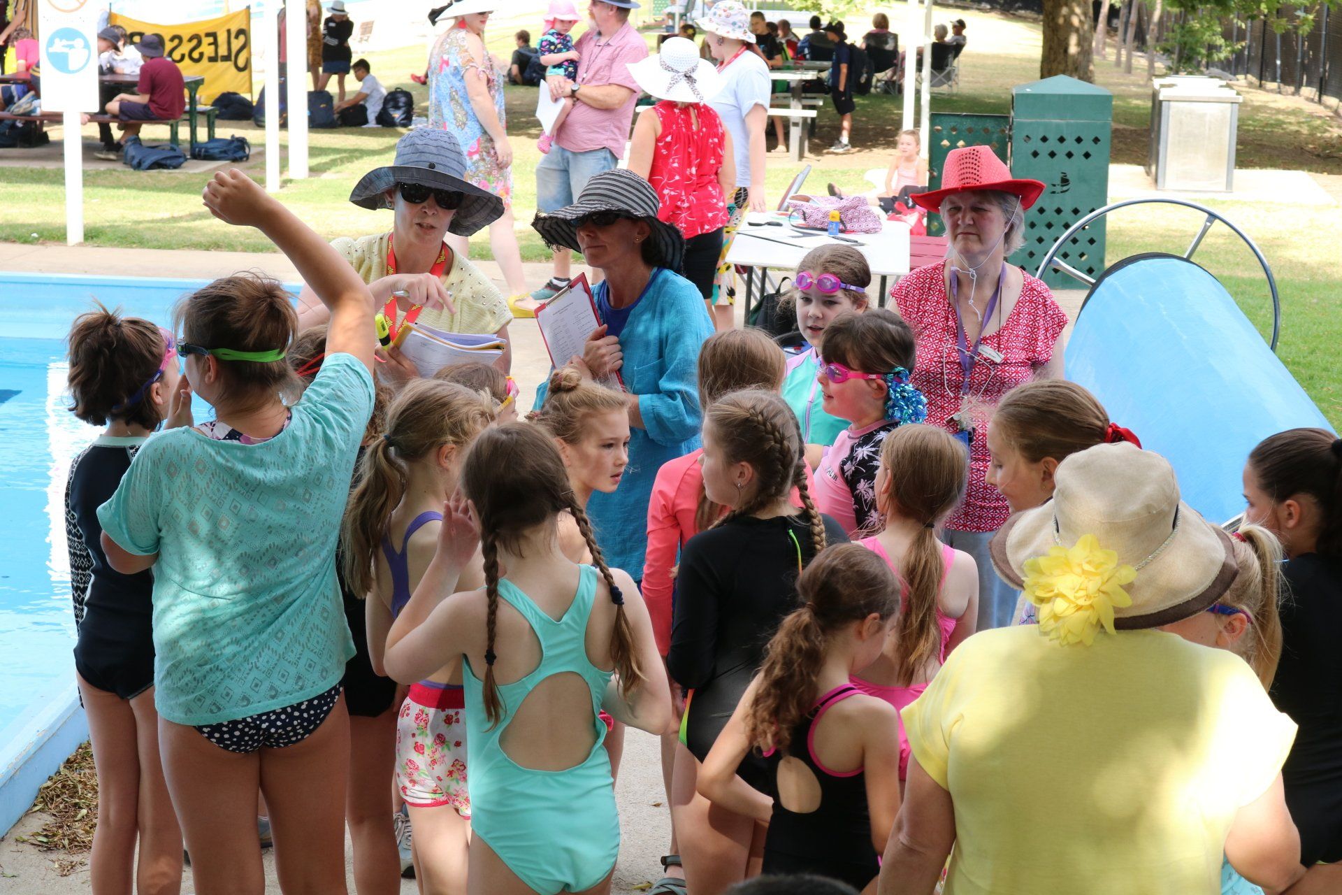 swimming carnival