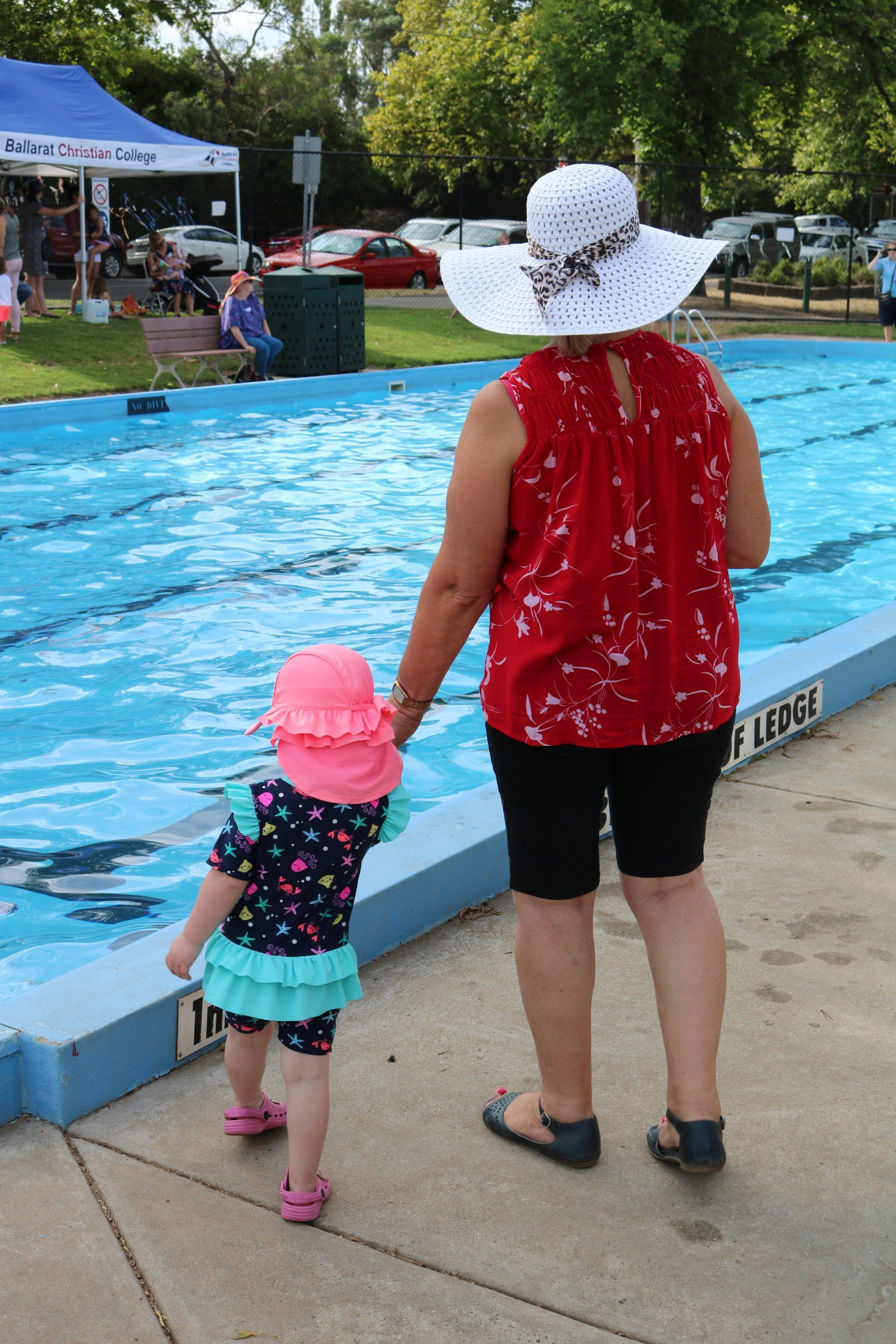 swimming carnival