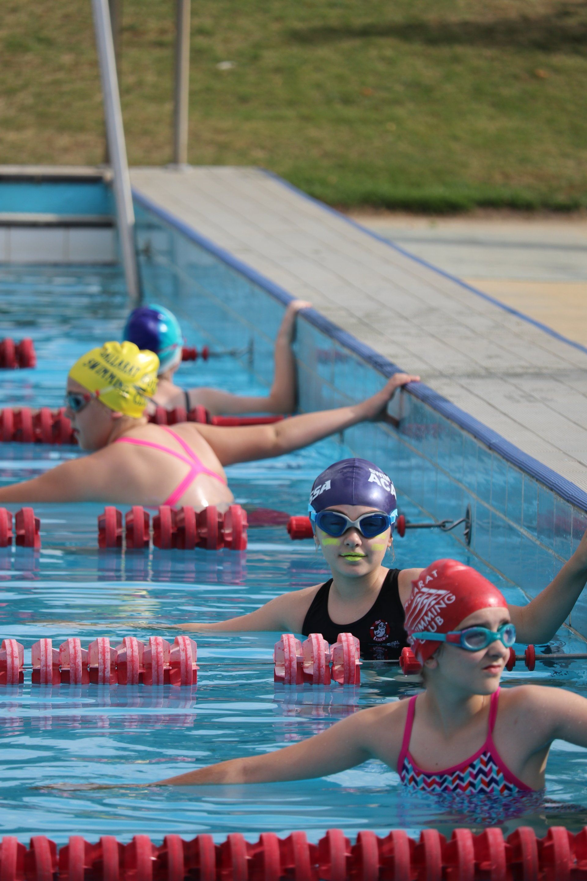 swimming carnival