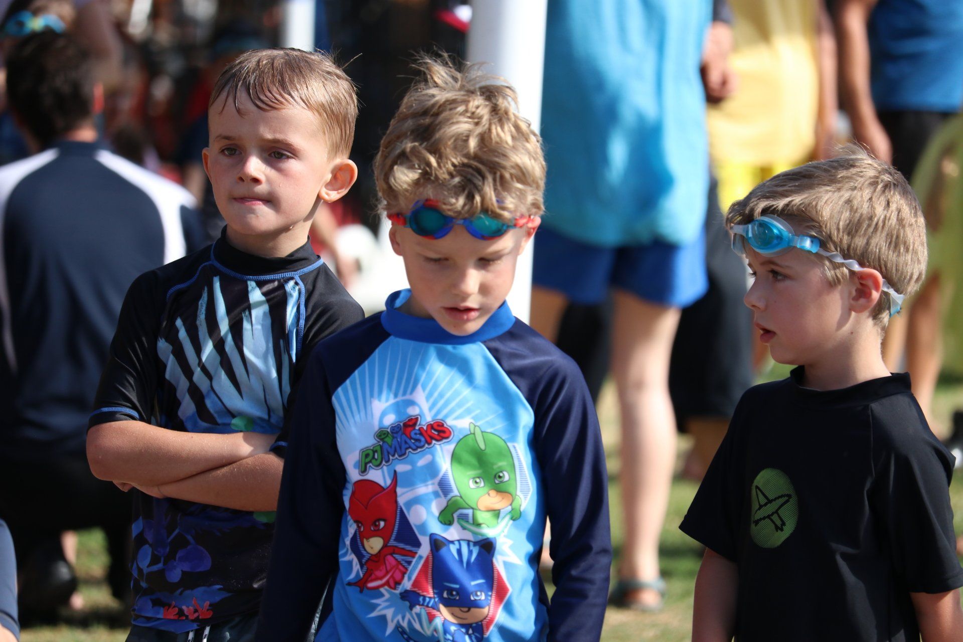 swimming carnival