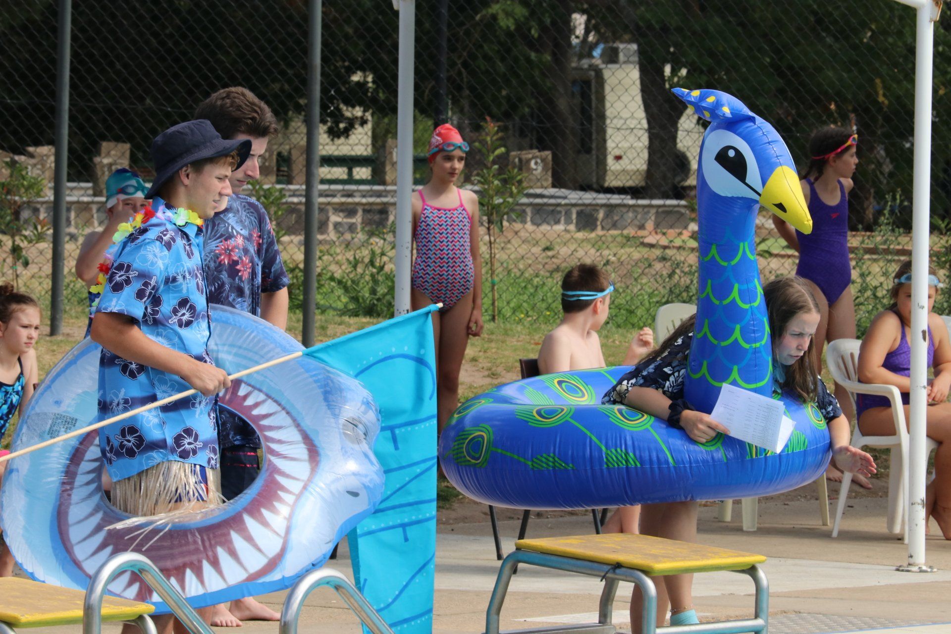 swimming carnival
