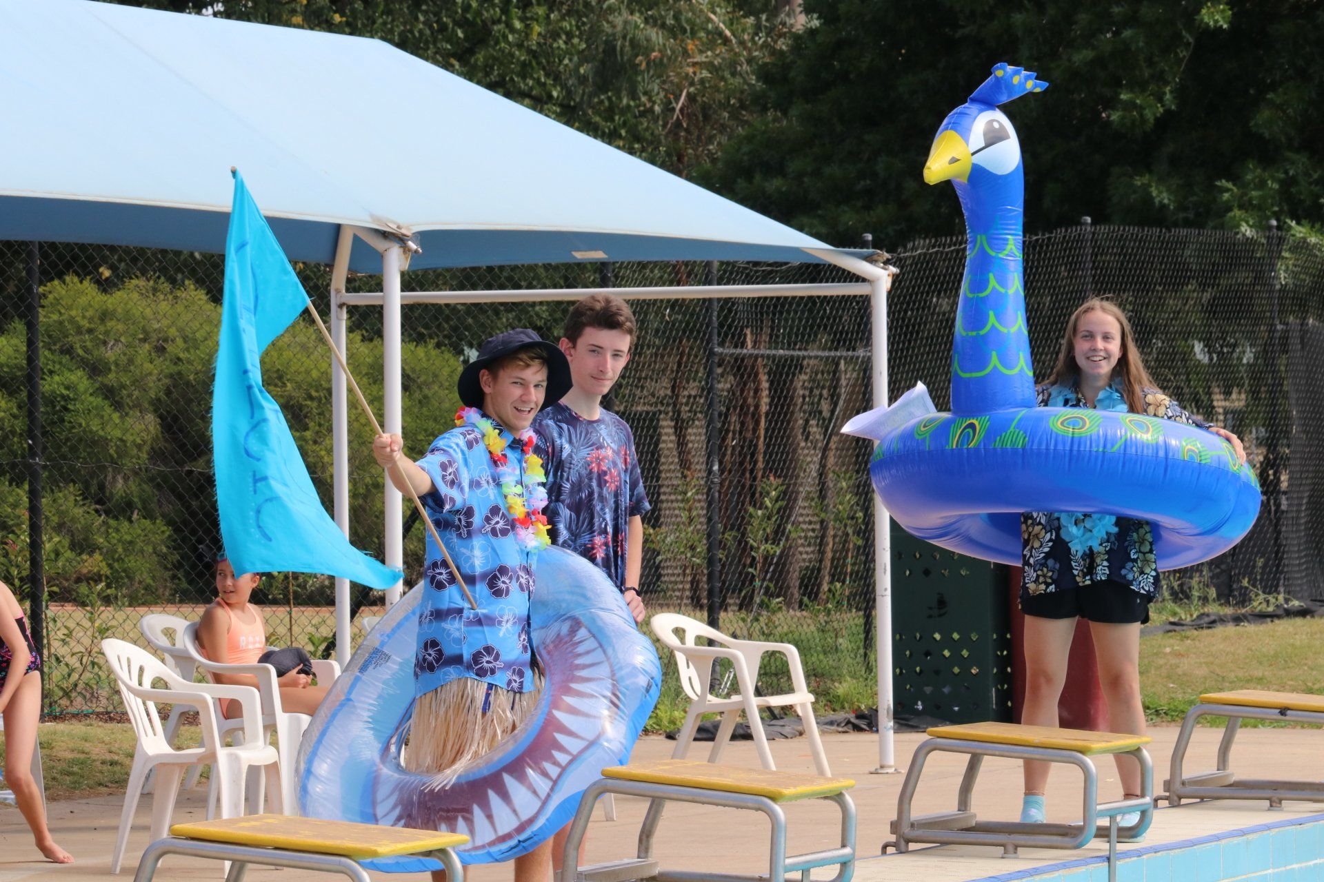 swimming carnival