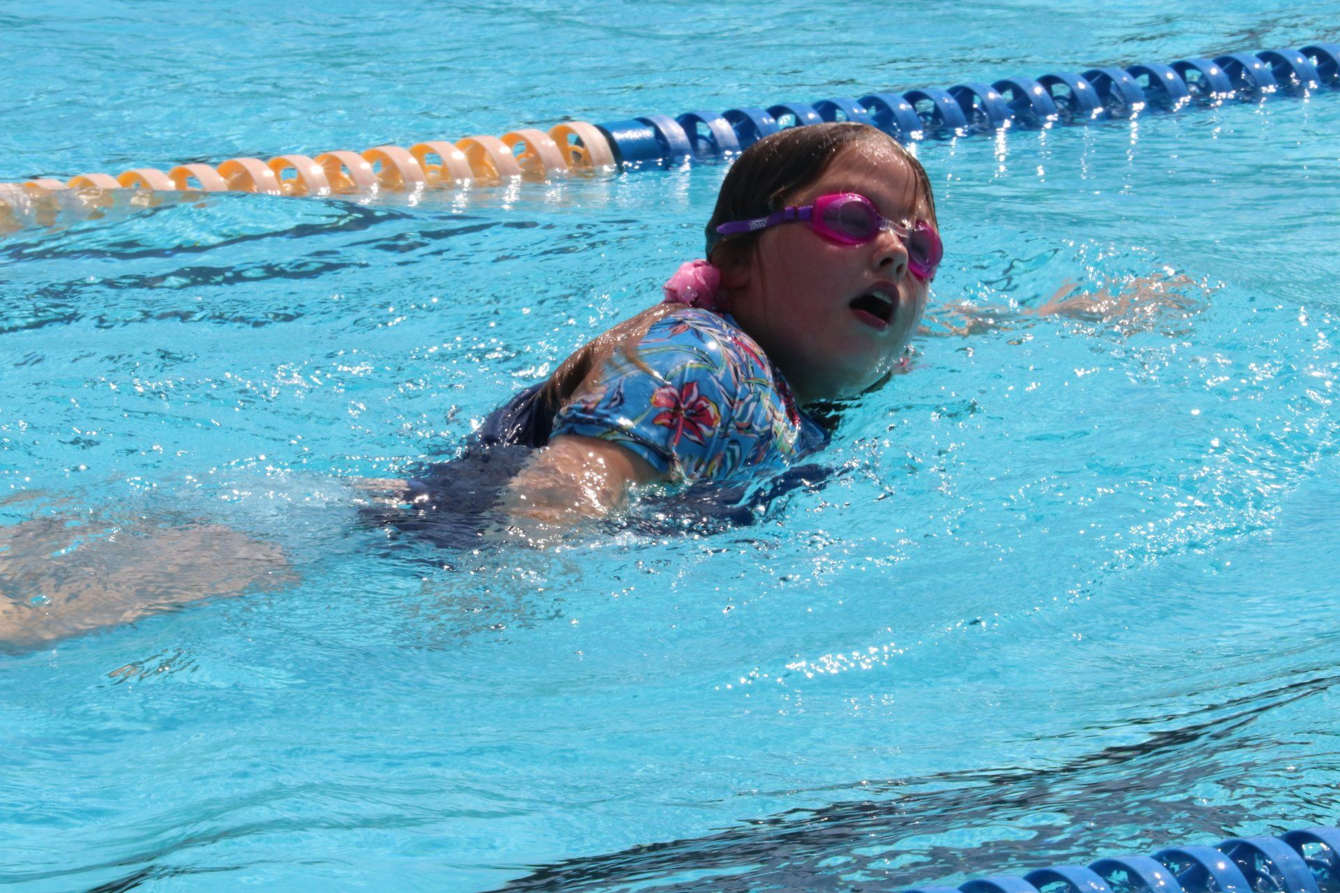 swimming carnival