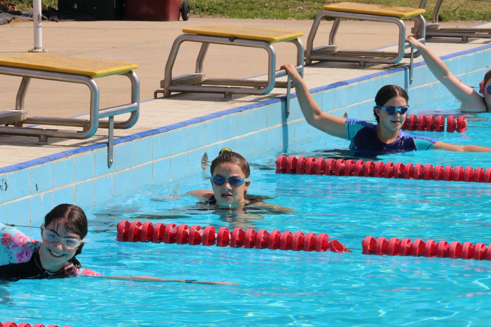 swimming carnival