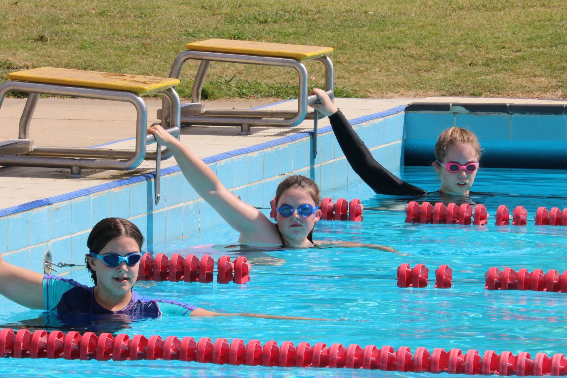 swimming carnival