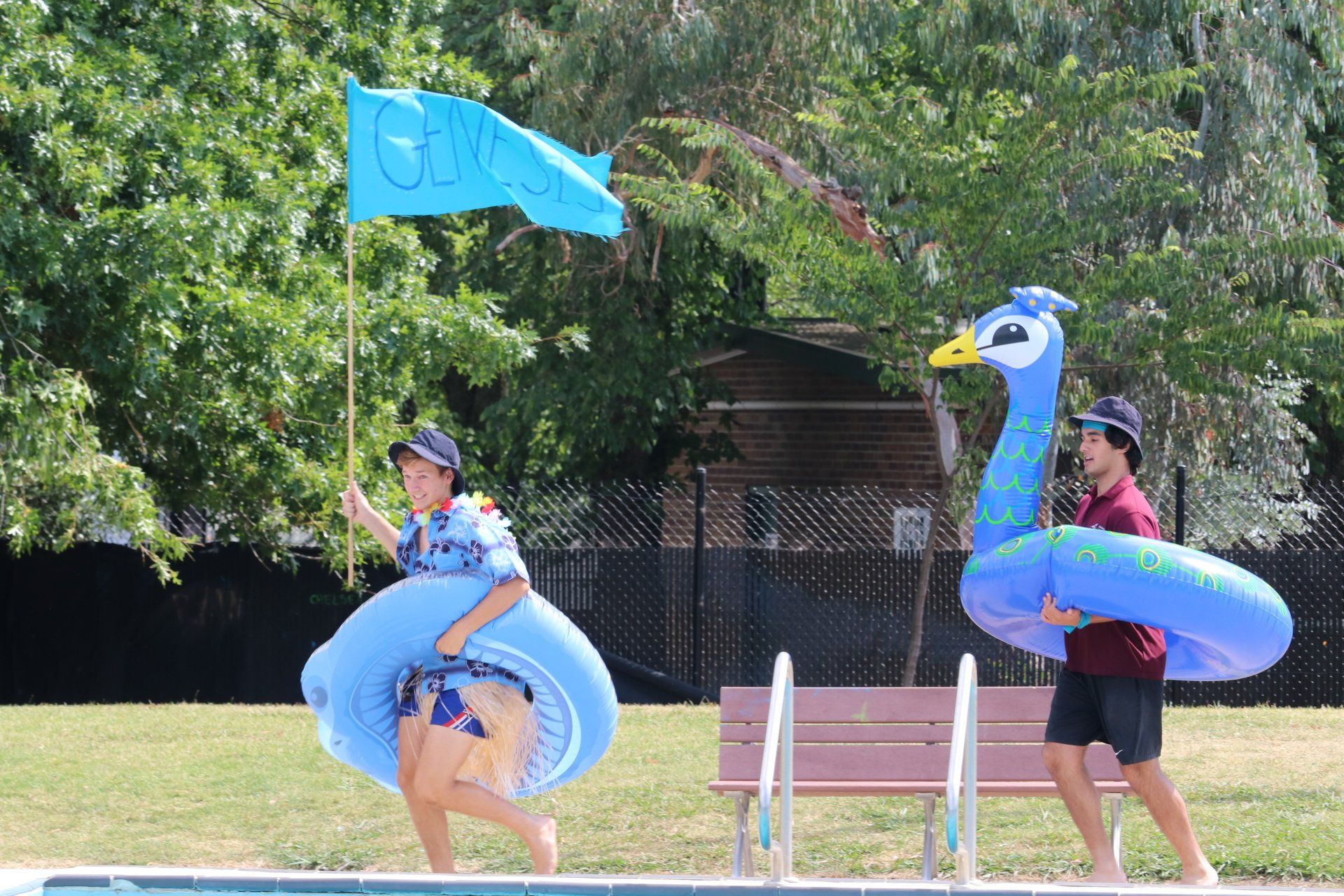 swimming carnival