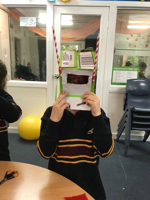 Celebrating Science Week 2019