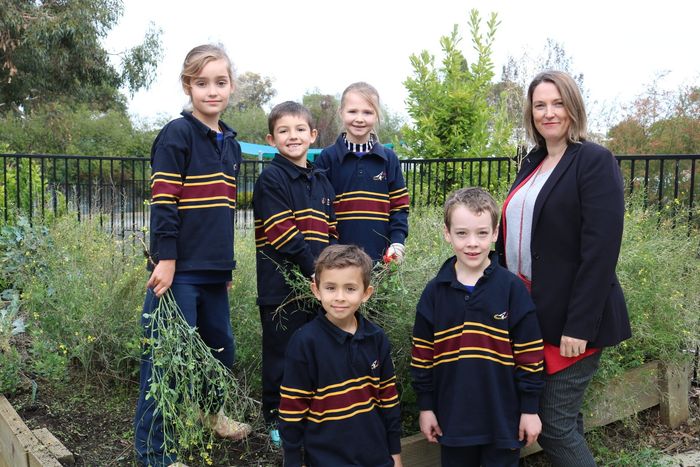 BalCC New Head of Primary Announced