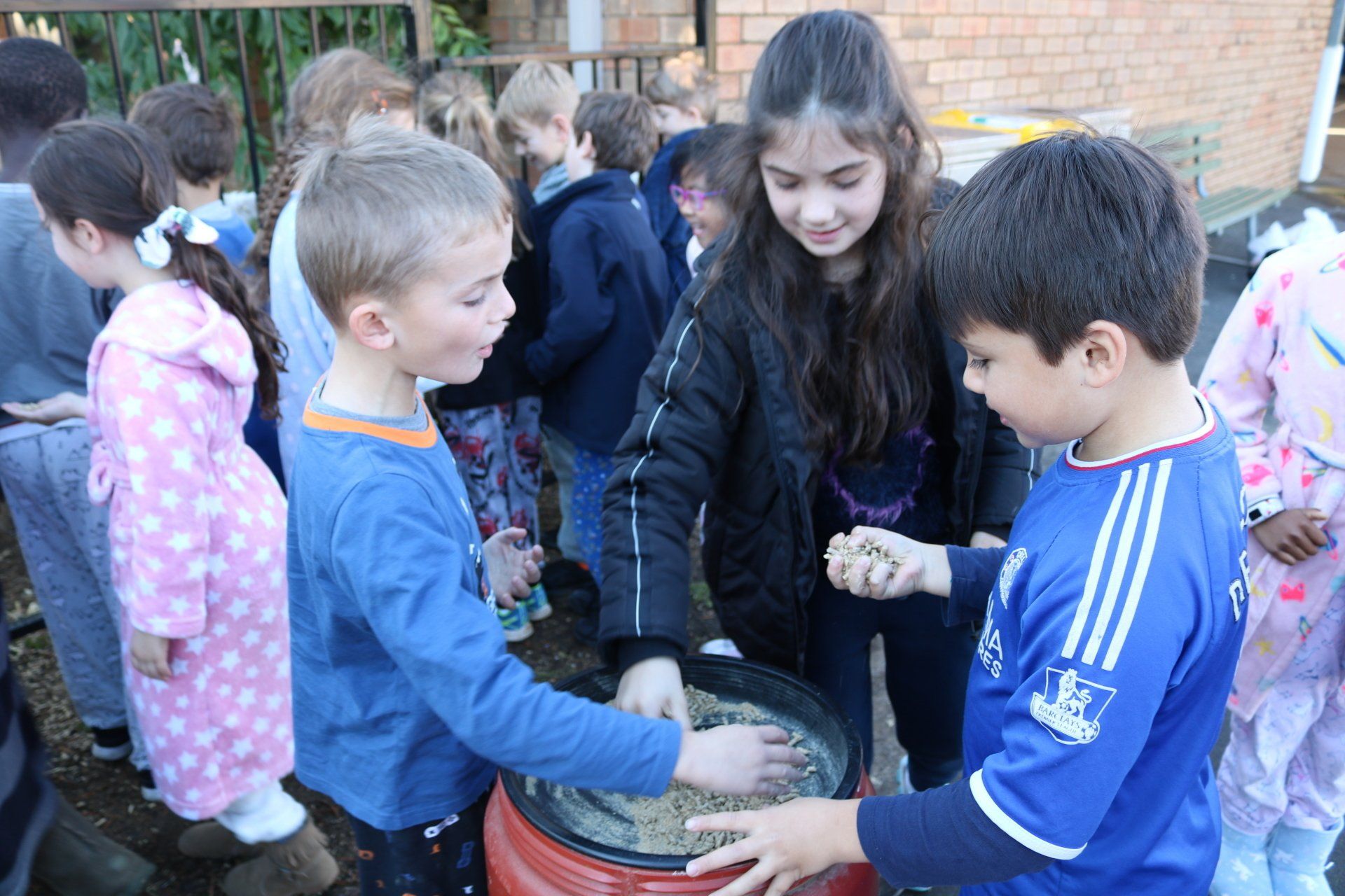National Simultaneous Storytime Alpaca Visit