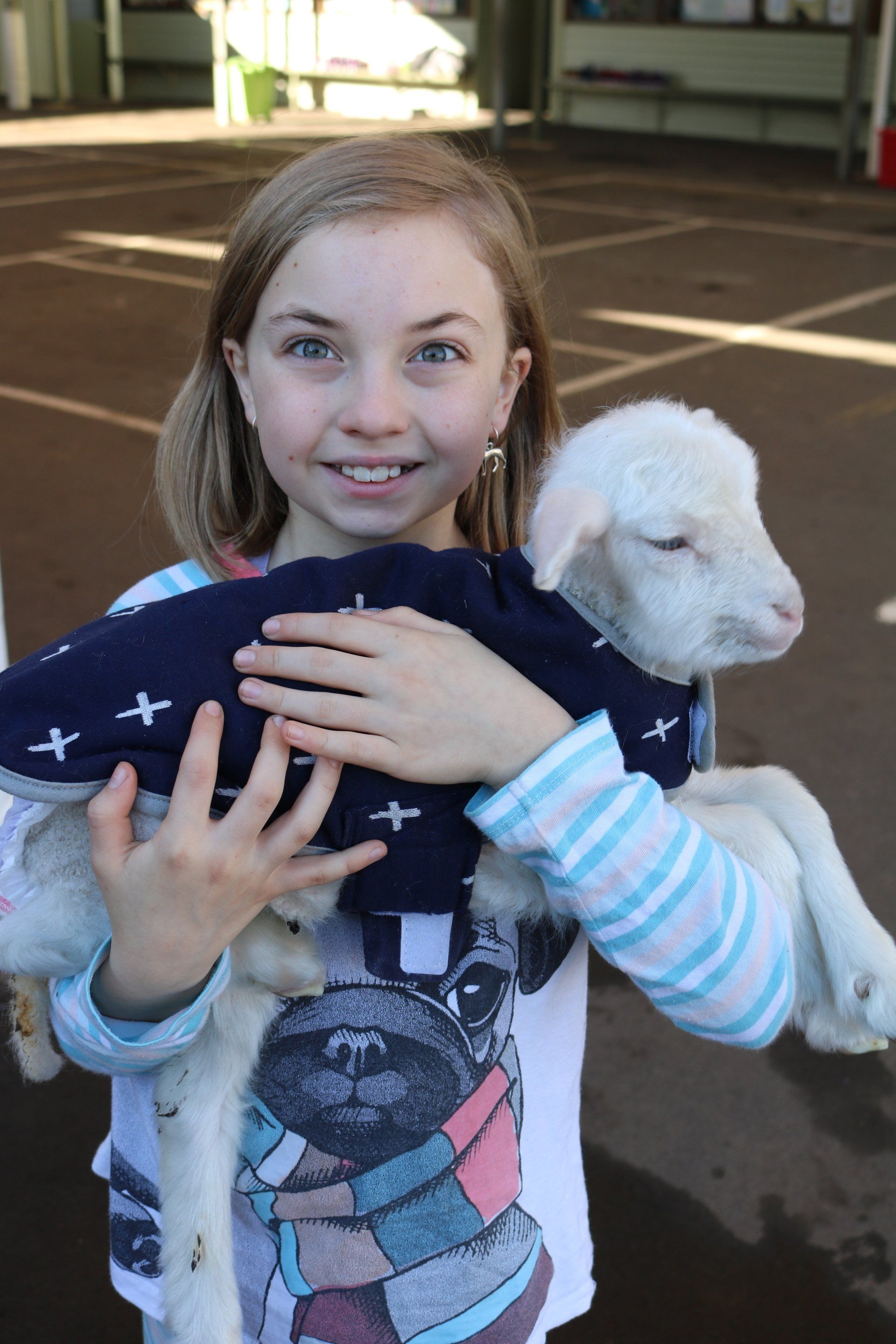 National Simultaneous Storytime Alpaca Visit