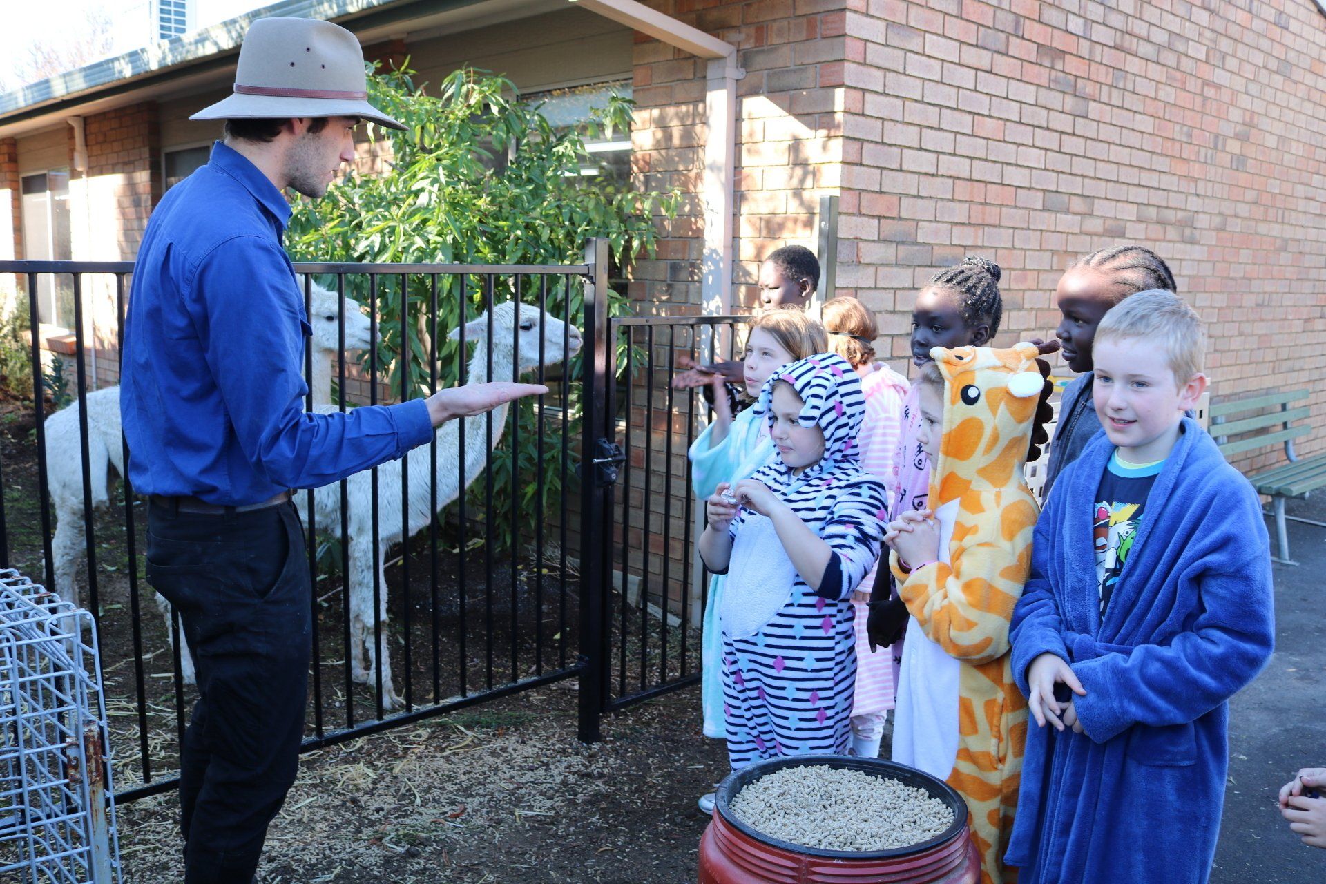 National Simultaneous Storytime Alpaca Visit