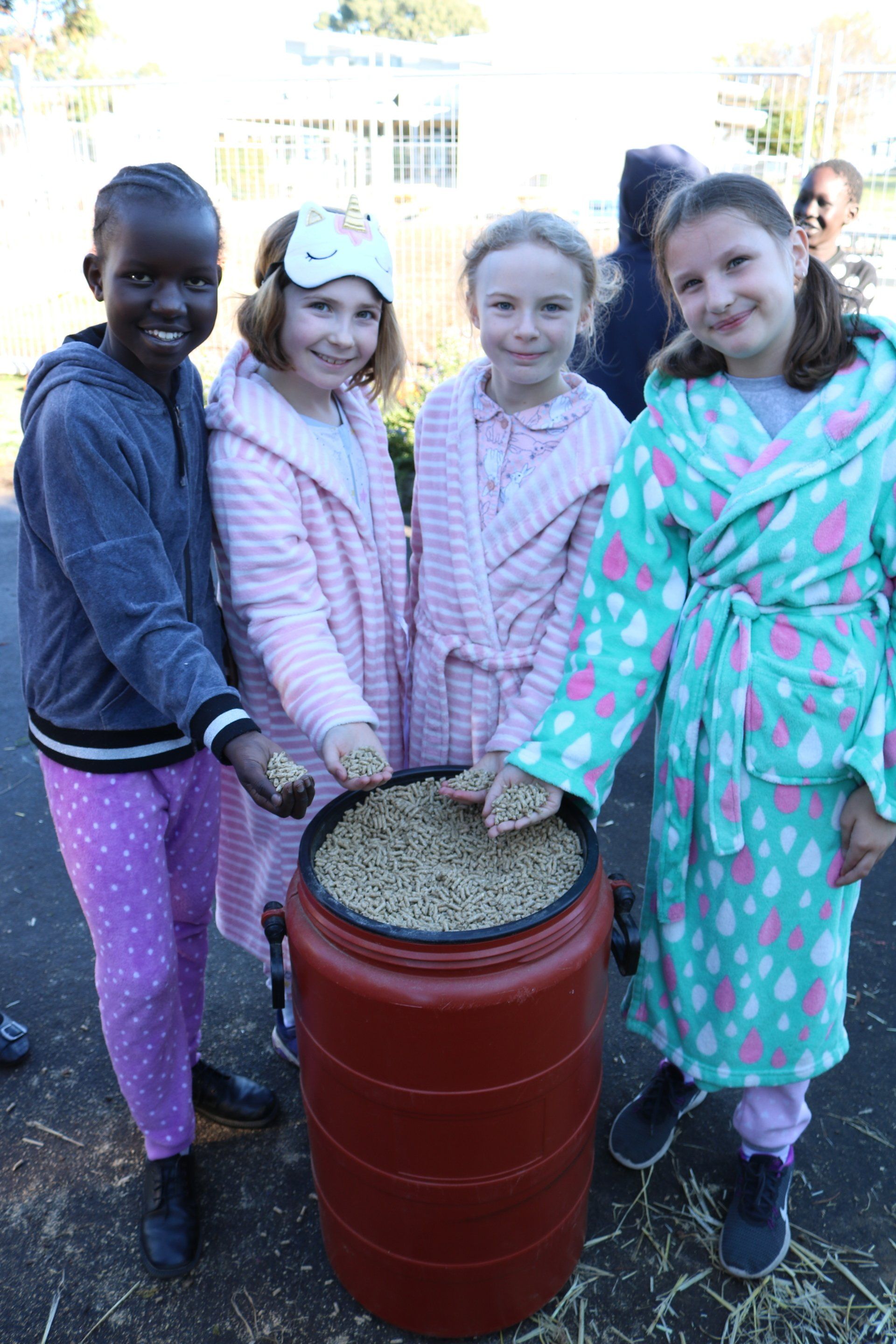 National Simultaneous Storytime Alpaca Visit