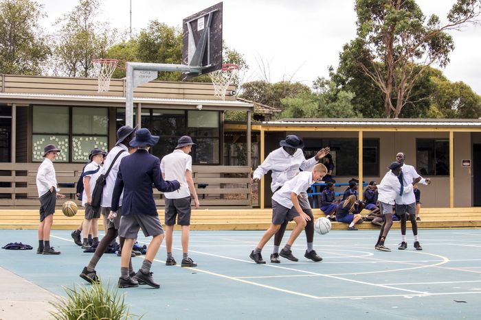 New Verandas for Shade & Seating