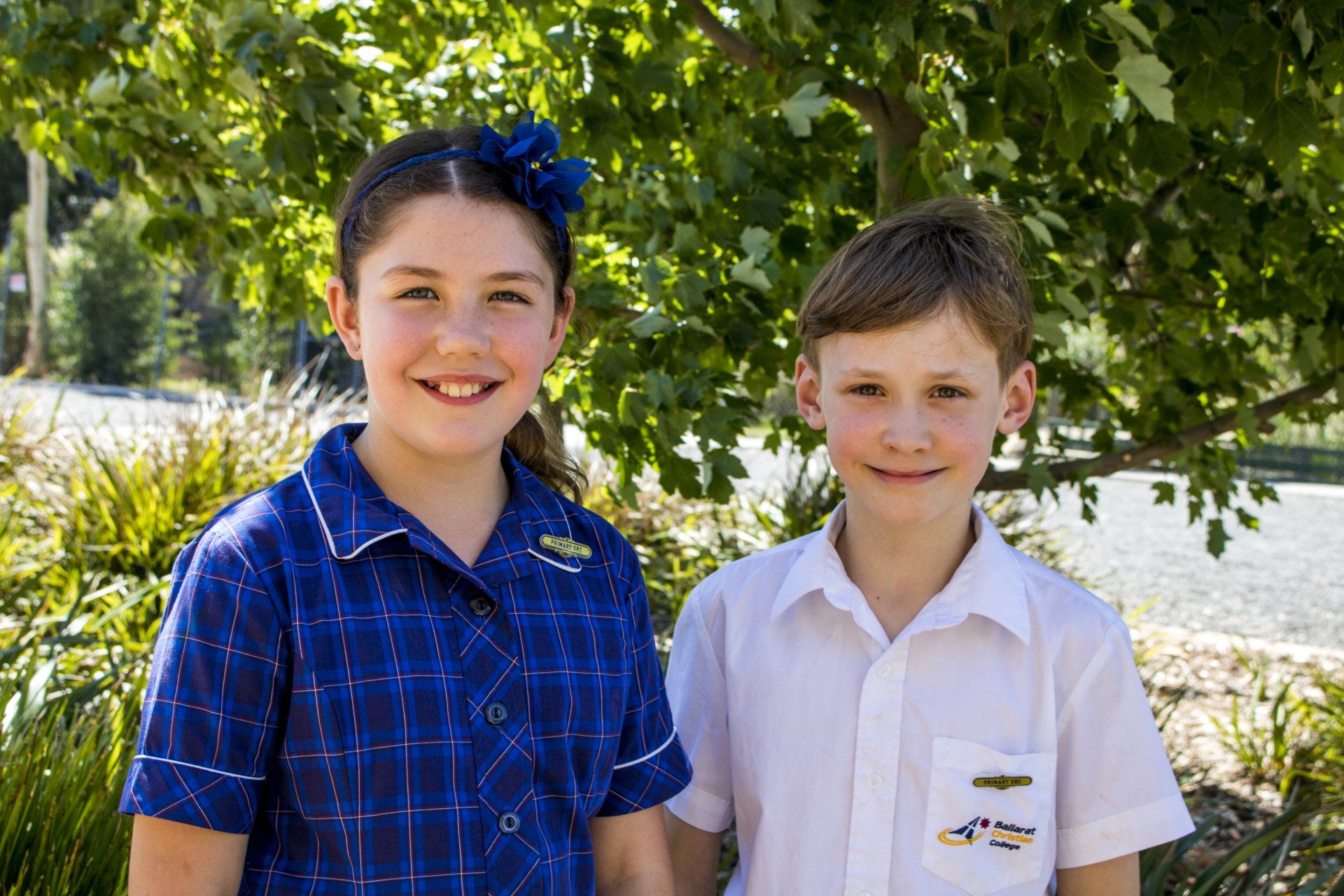 student representative