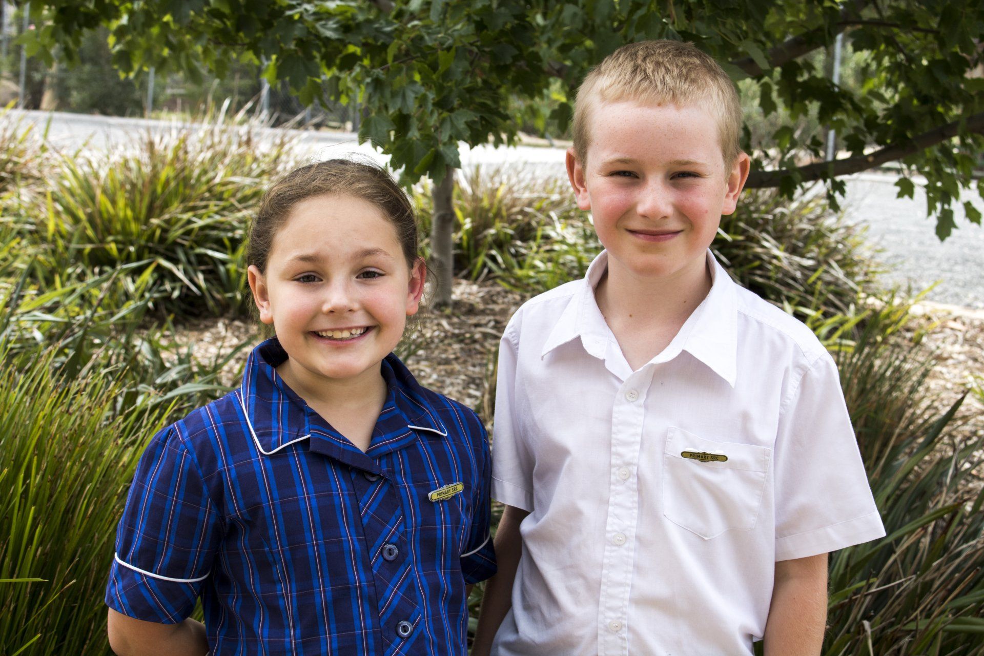 student representative