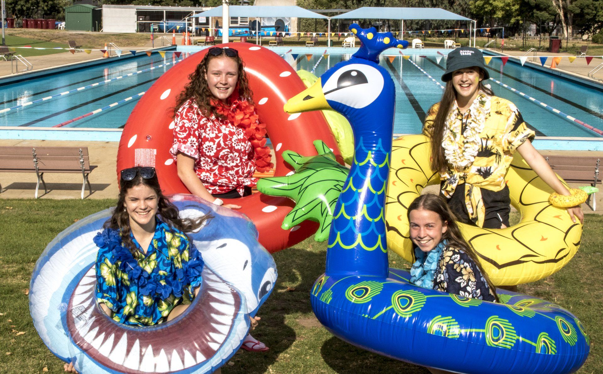 swimming carnival