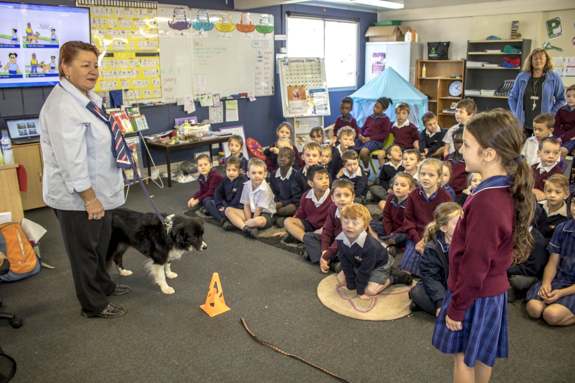 Primary: Pet Safe Education Incursion