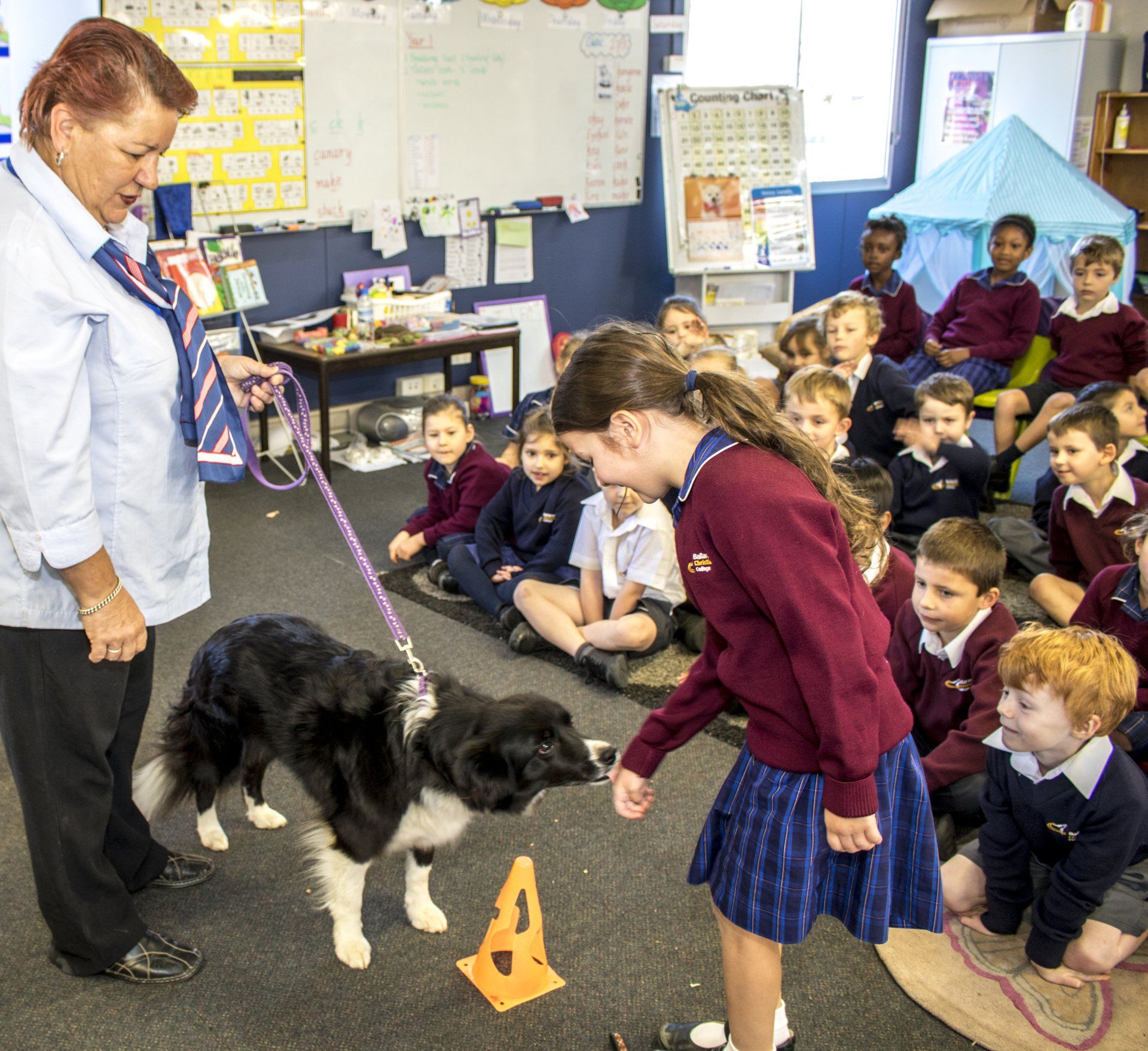 Primary: Pet Safe Education Incursion