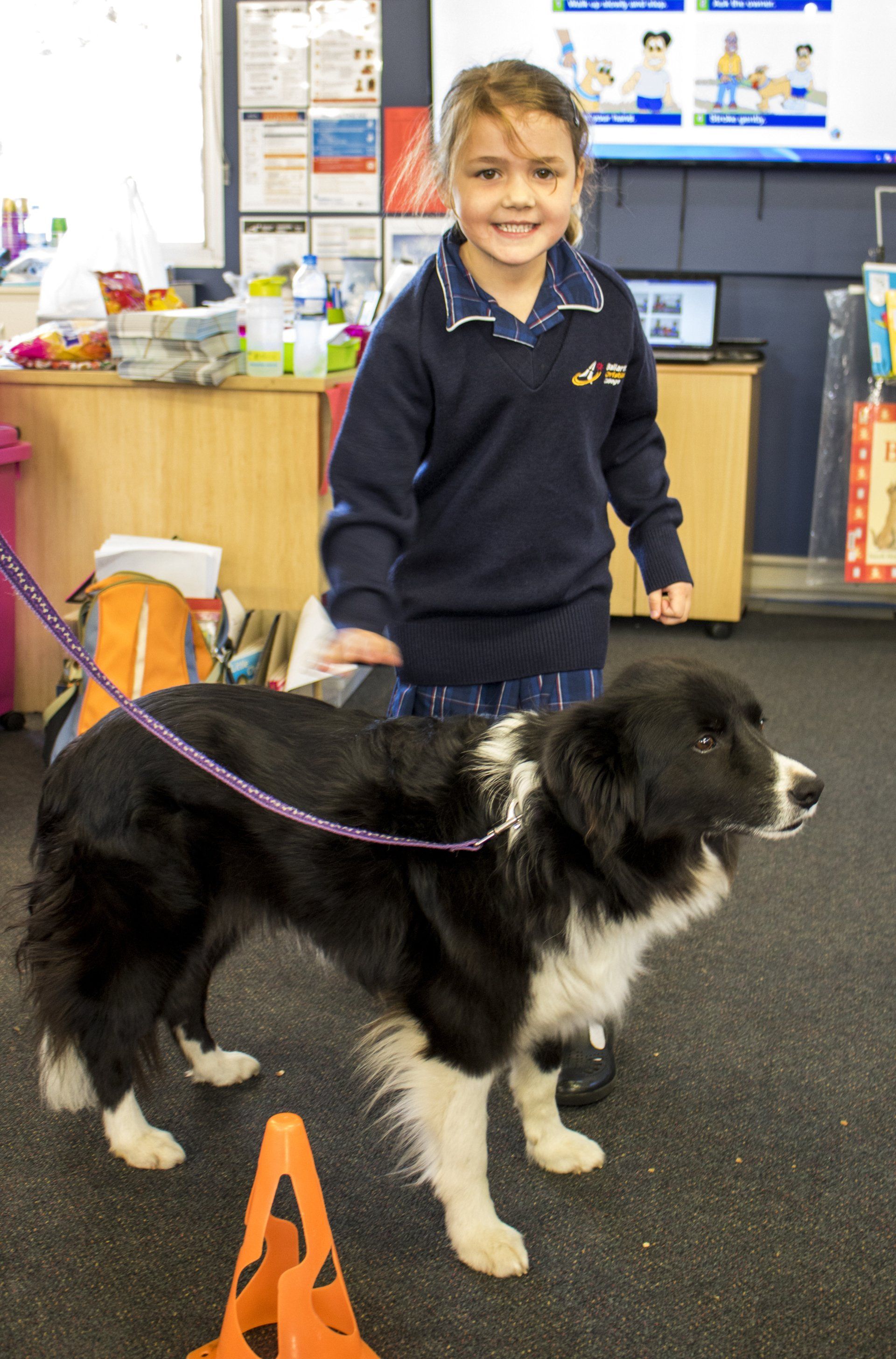 Primary: Pet Safe Education Incursion
