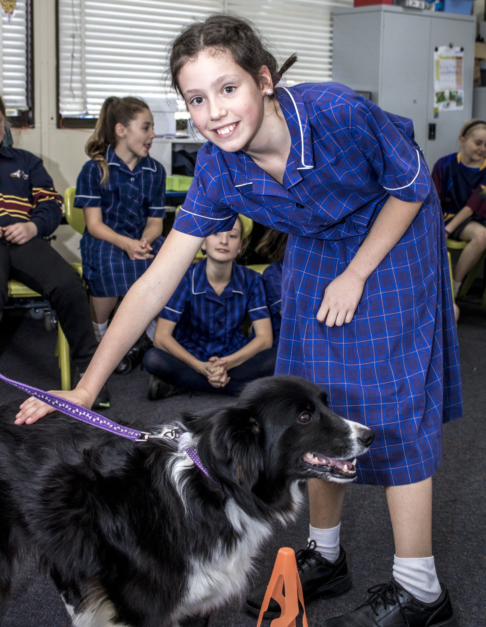 Primary: Pet Safe Education Incursion