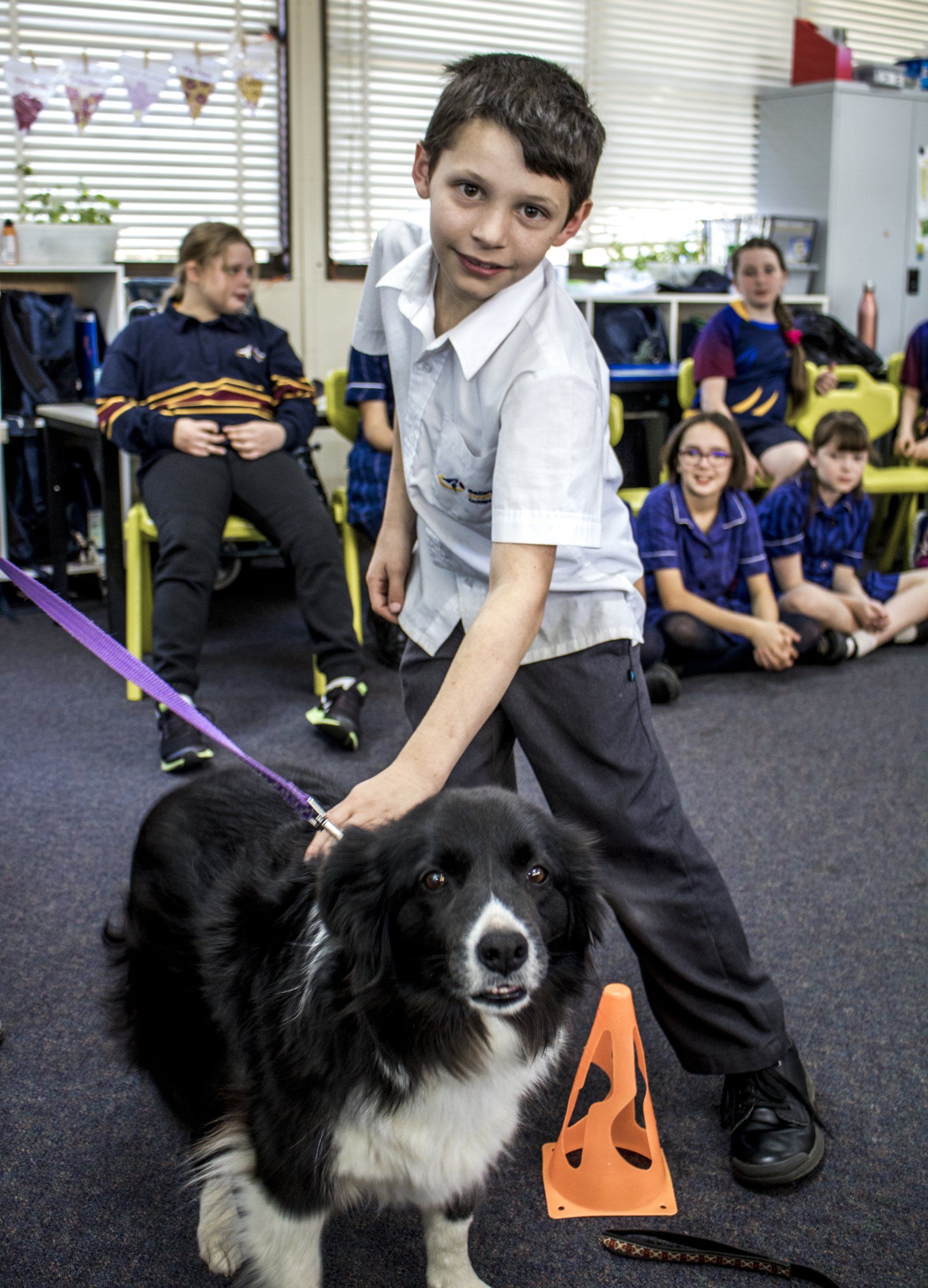 Primary: Pet Safe Education Incursion