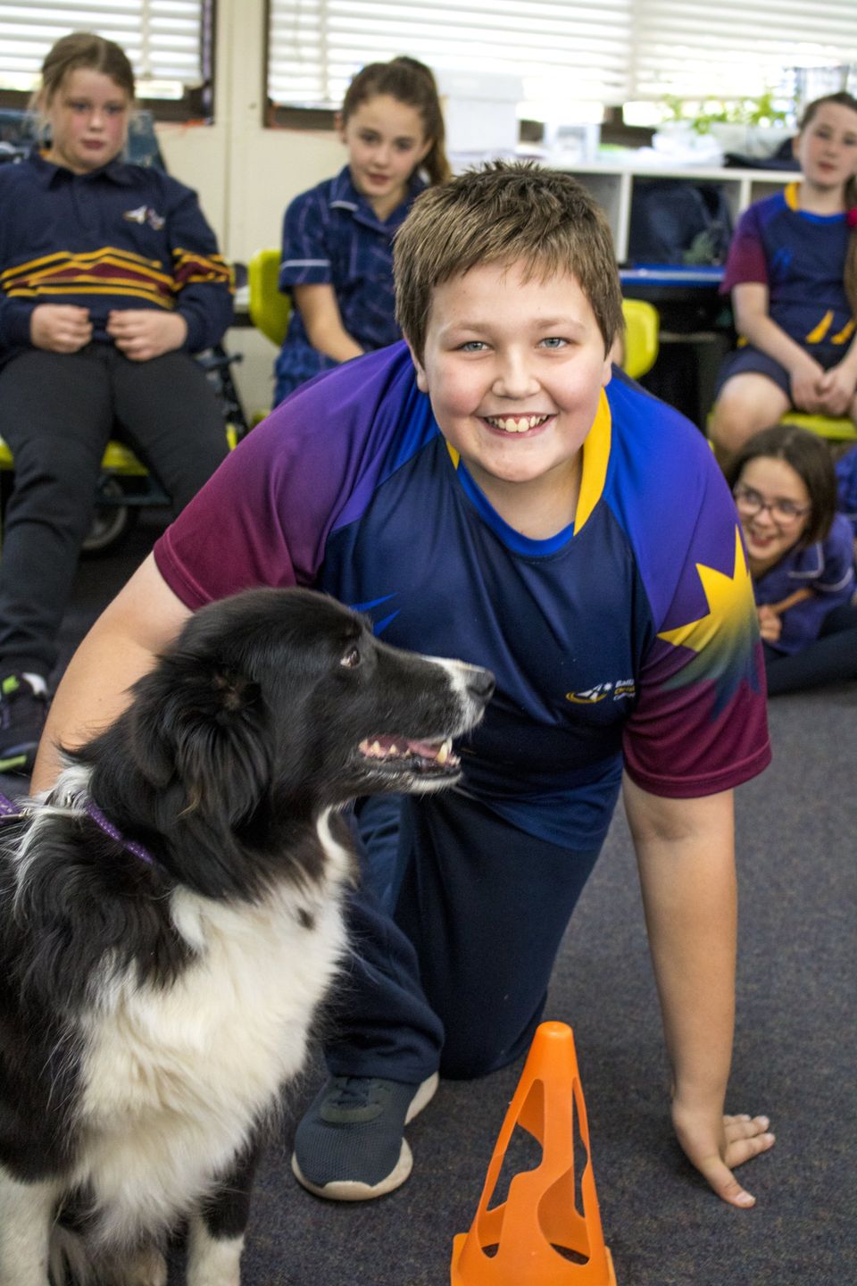 Pet Safe Education Incursion