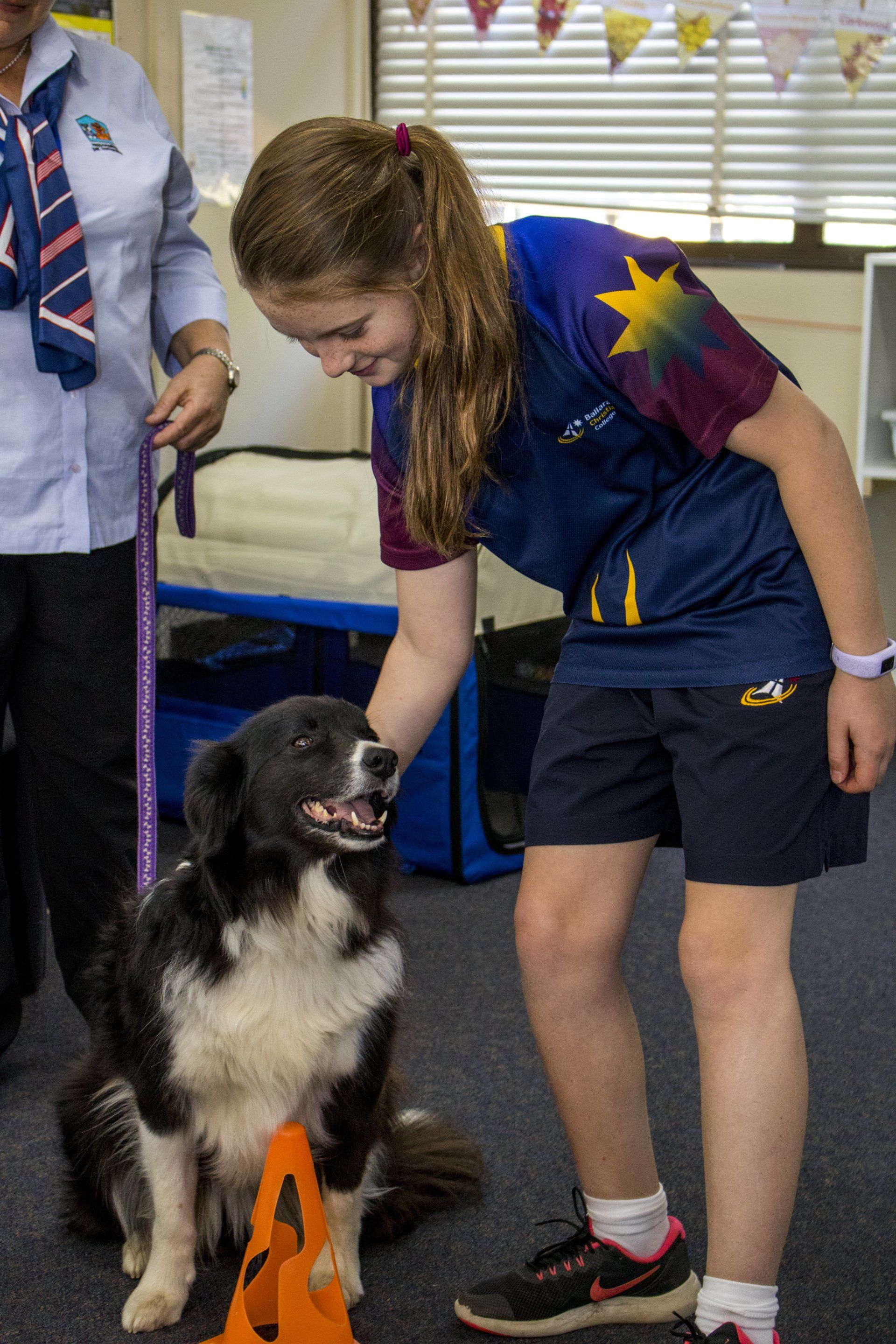 Primary: Pet Safe Education Incursion