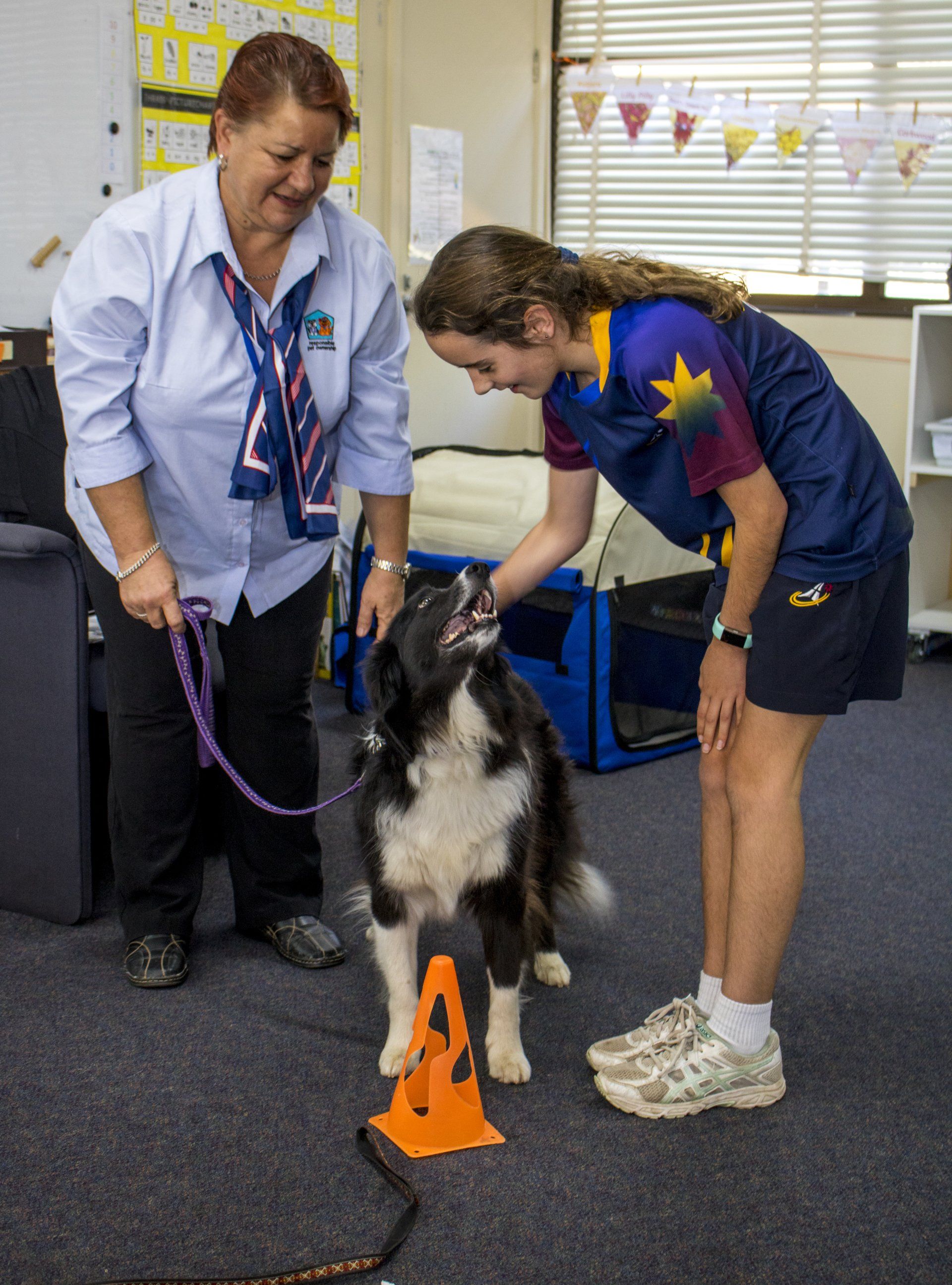 Primary: Pet Safe Education Incursion