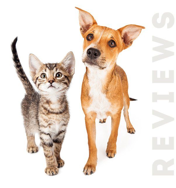 Buy Nearby Pet Doctor | UP TO 55% OFF