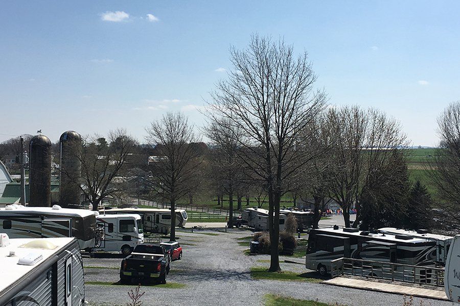 Beacon Hill Camping Gallery