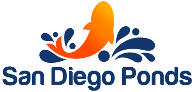 San Diego S Top Koi Pond Pondless Waterfall Contractor