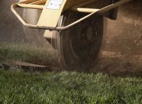 stump removal quality equipment