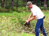 Man doing tree work in Glynde