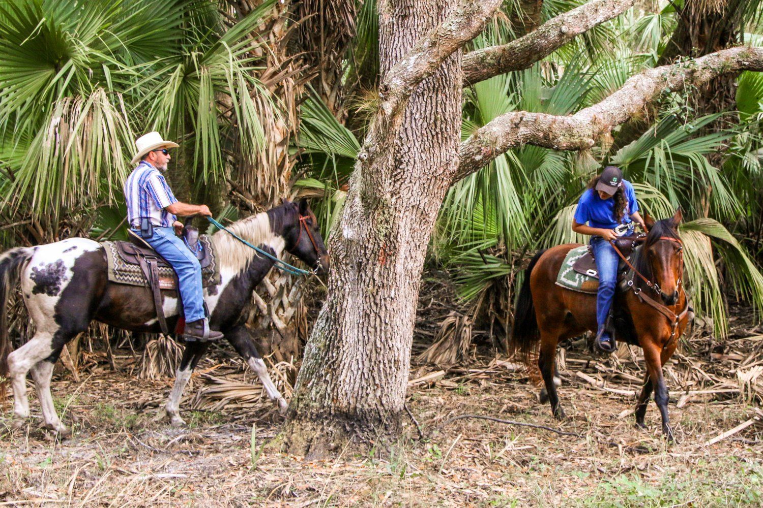 Wagon Wheel Horse Farm Okeechobee, FL