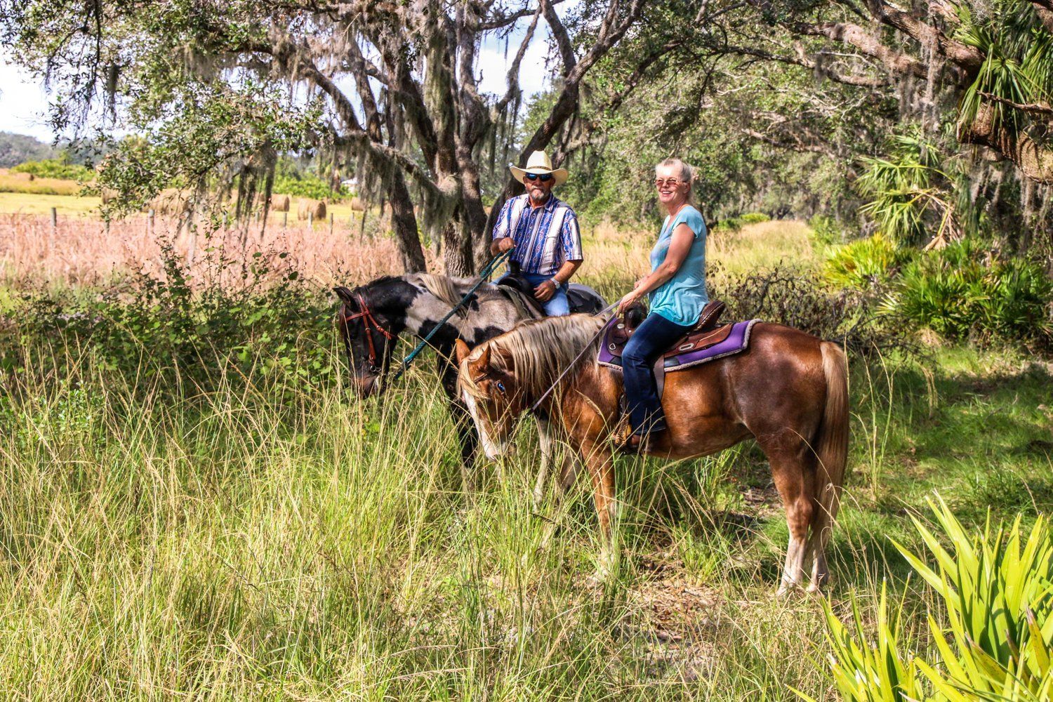 Wagon Wheel Horse Farm Okeechobee, FL