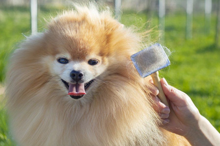 de shedding treatment