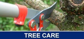 tree service company pittsburgh pa tree service company pittsburgh pa