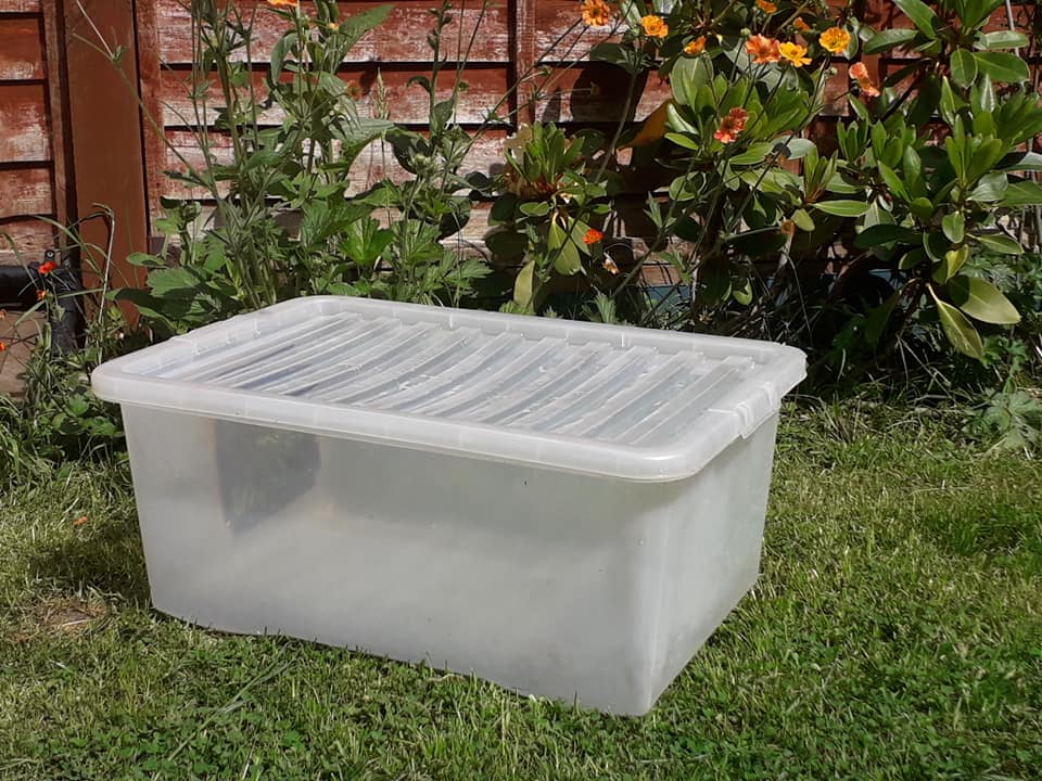 How to create a hedgehog feeding station