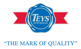 TEYS logo