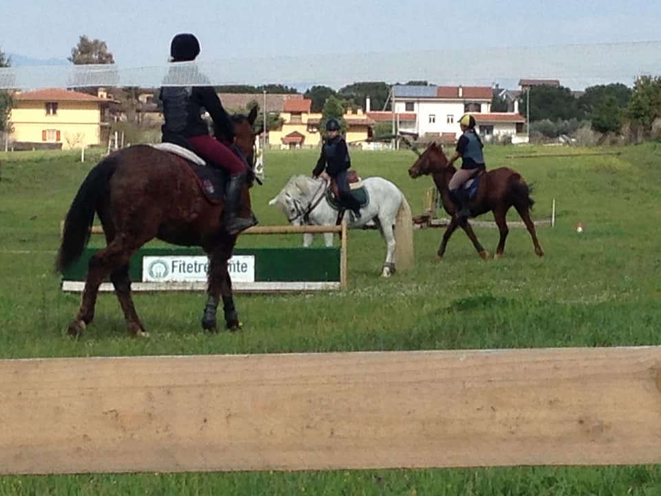 Salto Ad Ostacoli: La Sir In Luce Al Circuito Classico Masaf - Ragusa Oggi - Foto 8